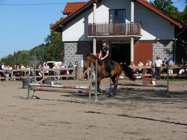 Babie Lato z Hucułami 2015